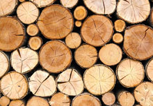 Holz Material